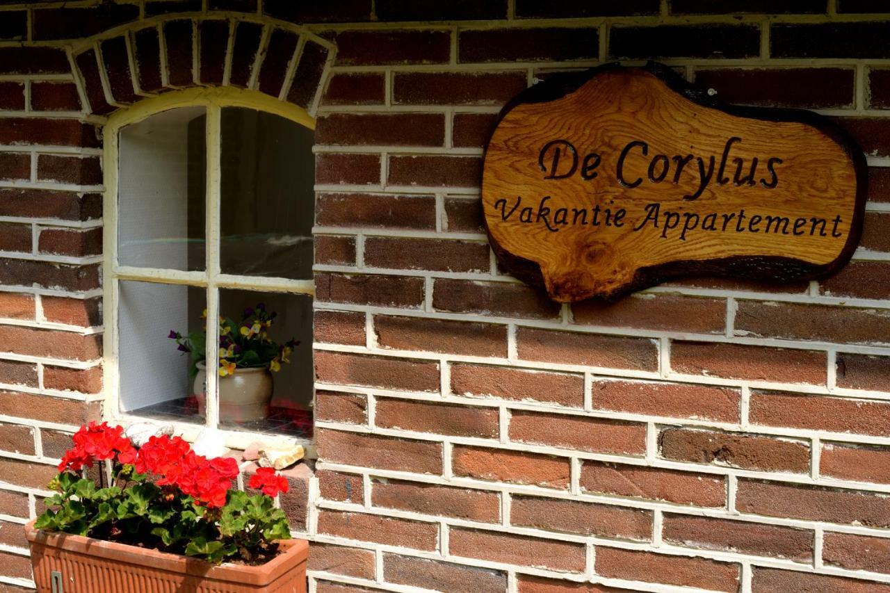 De Corylus Vakantie Appartement Oosterhesselen Esterno foto